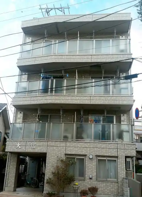 大信