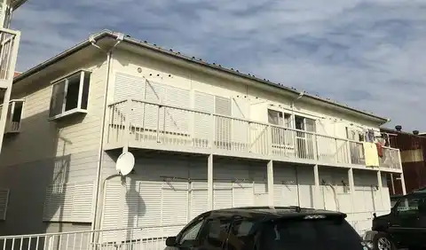 シャルマン原木