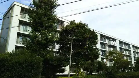 富士見町団地30号棟