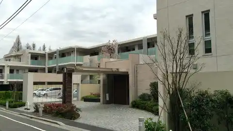 ハイコート洗足池