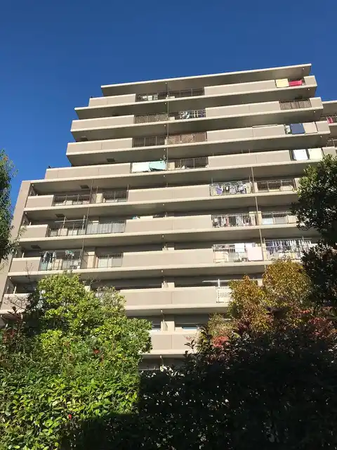 アメニクス川口