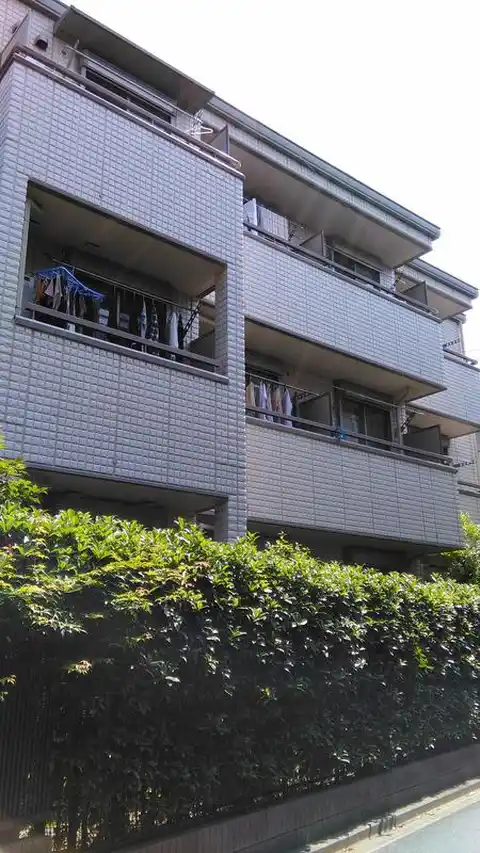 グレースコート