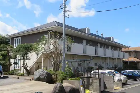 サングリーンゆりの木