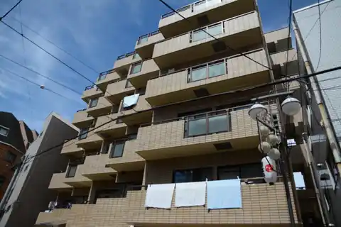 パレスパインツリー