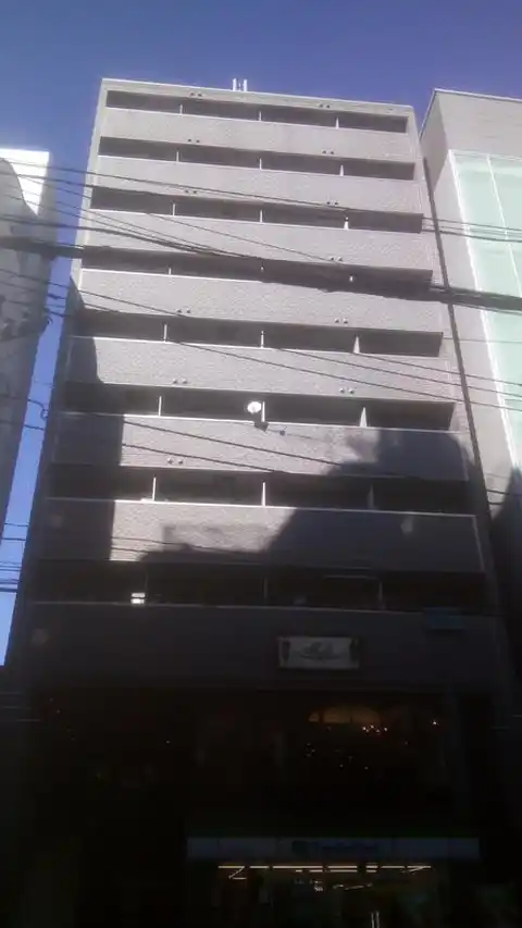 ntコート
