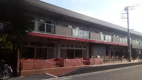 チェルシーテラス