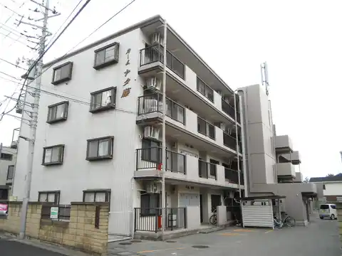 カームヤタ藤