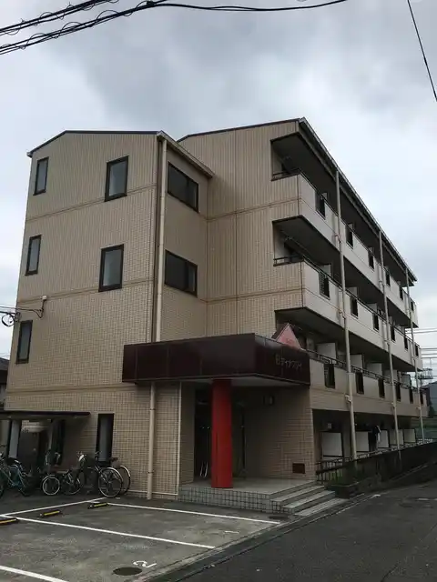 Bディナスティ