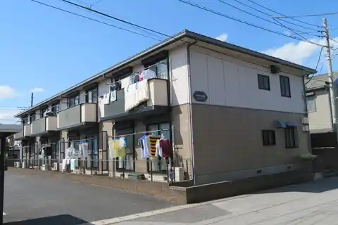 リベルダダーデゆりの木