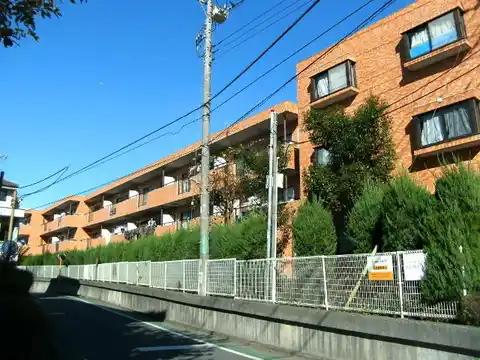 サングリーン・タケシノ