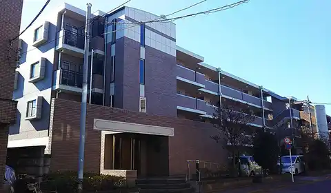 シティライツ