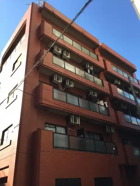 ルネタマキ