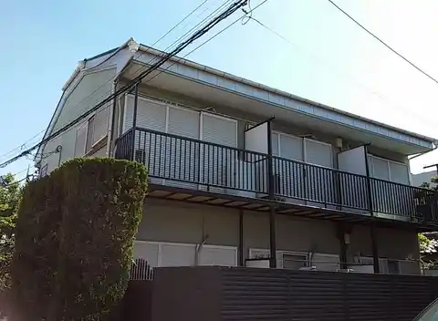 ピュア若葉