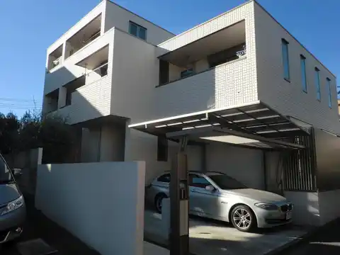 LUCE SHONAN
