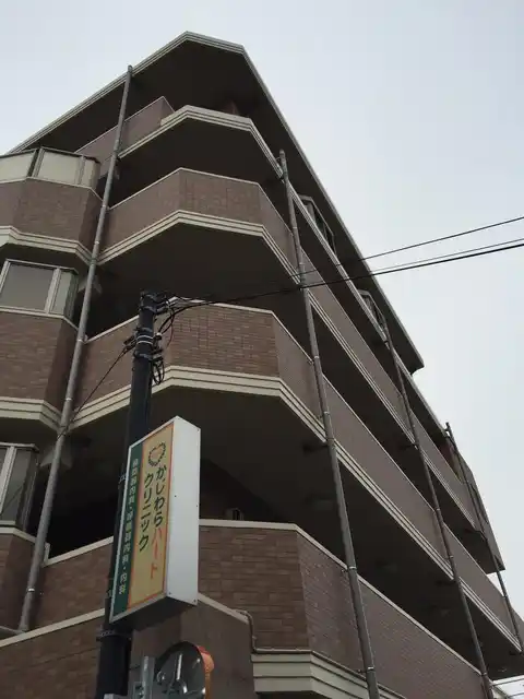 グラウクス
