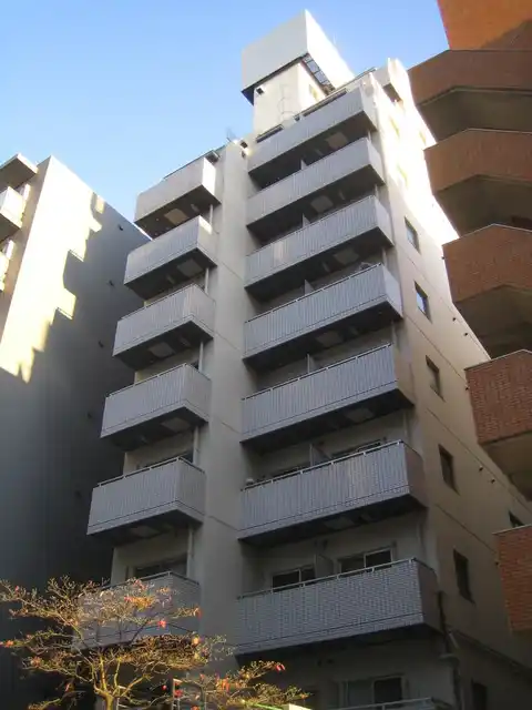 トップ川崎No.2