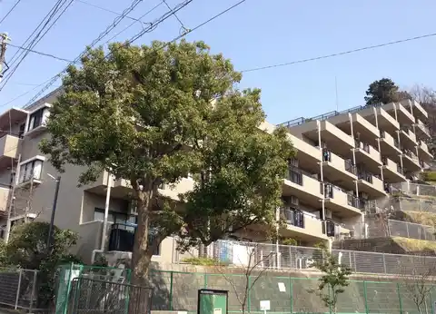 藤和ライブタウン綱島の丘Bウイング
