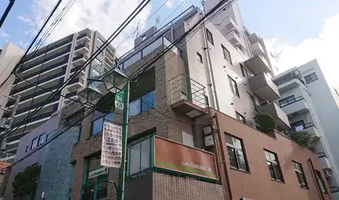 ステラ・1