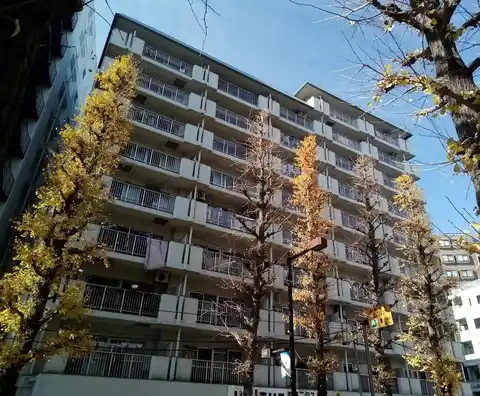 光シャンブル府中