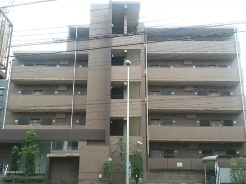 オキザリス