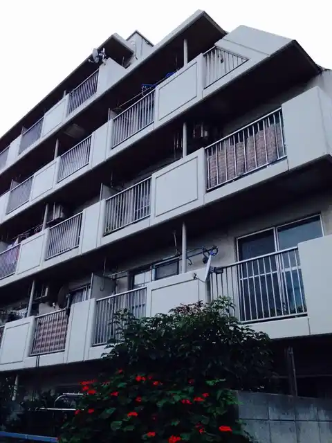 ドルミ大宮大成