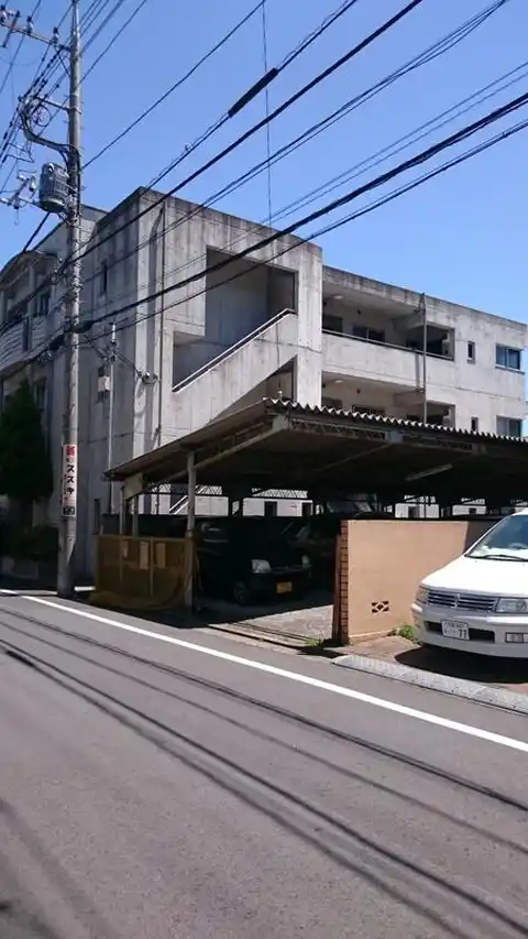 蘭豆D