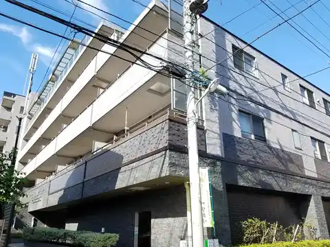 ホワイトシャイン