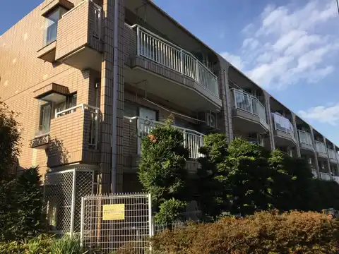 サンフラワー桜台