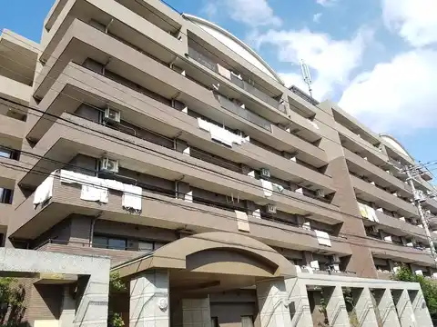 クリサンテーム妙典2