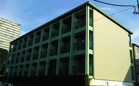 ルピナス8
