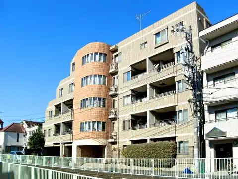 スターロワイヤル久我山