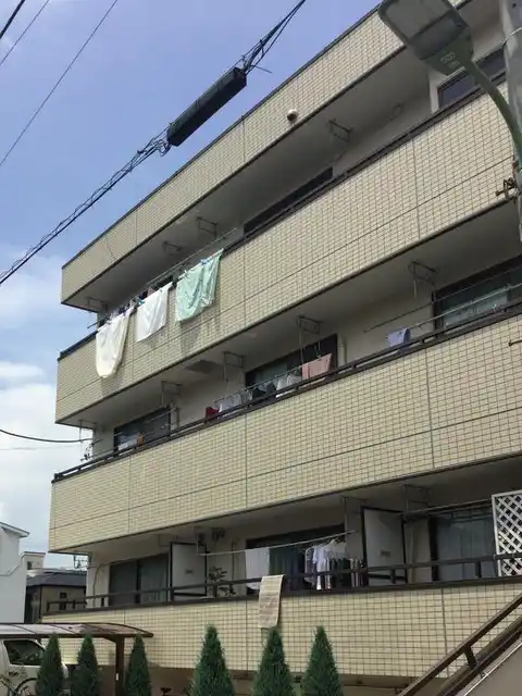 ドーマミウラ