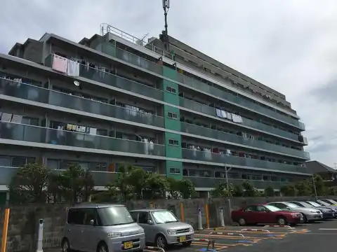 プロシード市川