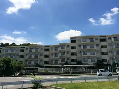 UR小金原けやき通り