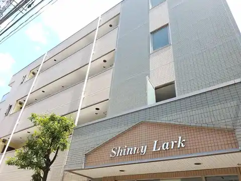 シャイニーラーク