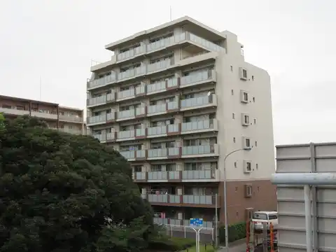 ミオカステーロ村上