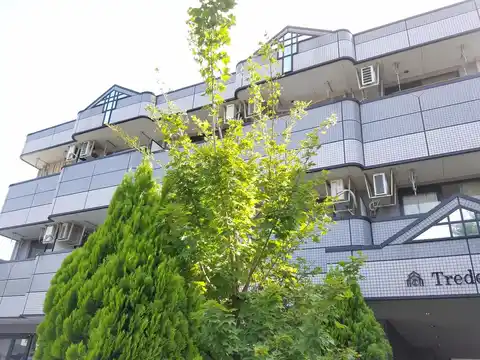 トレデキムK