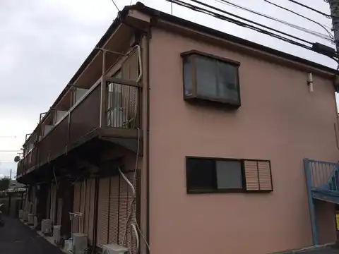 コートカメリア