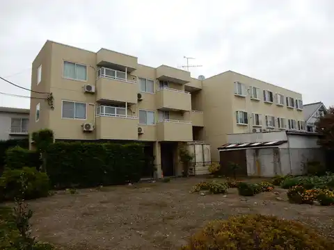 ラピタ
