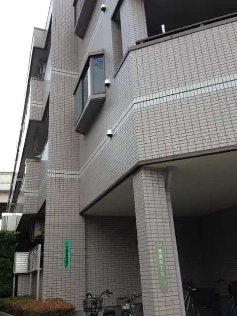 ドルフ綾瀬