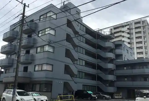 ブルーコスモス