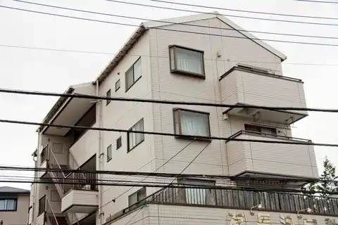 チェリーパレス2