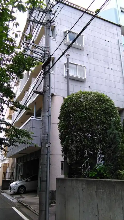 コスモドゥエル