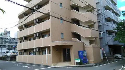 コットンプレイス