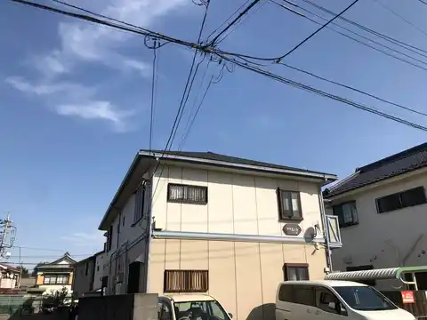 カモミール
