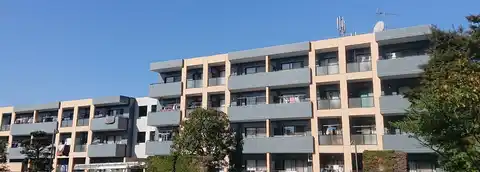 ヘイザックス