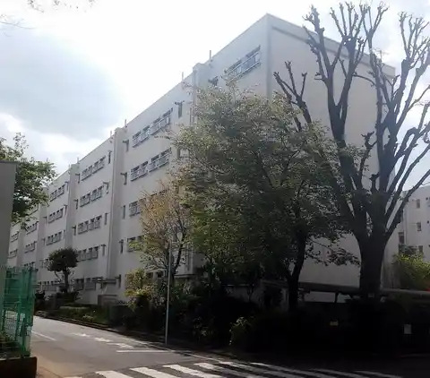 公社多摩川住宅ハ-13号棟