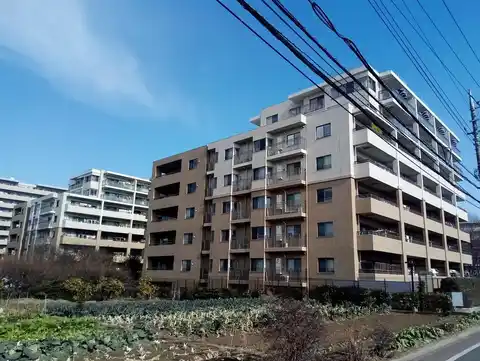 アデニウム吉祥寺