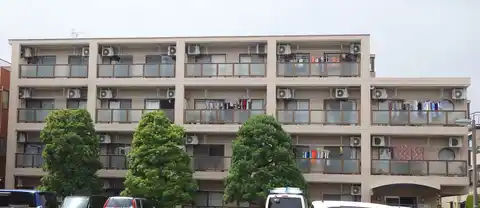 コージーコート