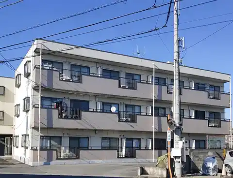 アムールオオカサ